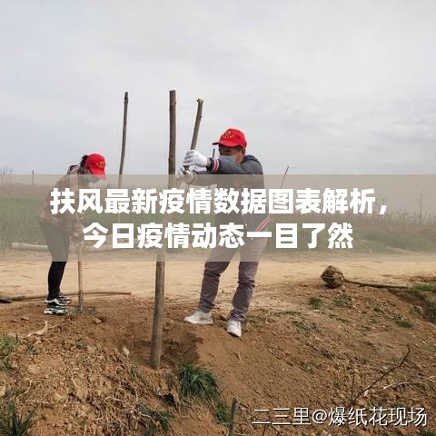 扶風(fēng)最新疫情數(shù)據(jù)圖表解析，今日疫情動(dòng)態(tài)一目了然