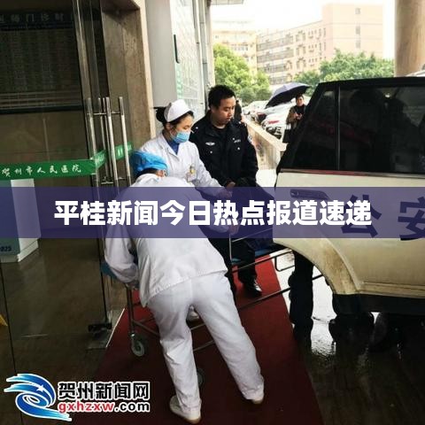 平桂新聞今日熱點報道速遞