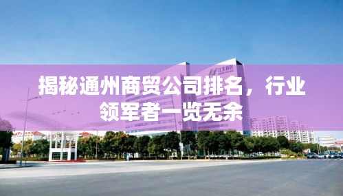 揭秘通州商貿(mào)公司排名，行業(yè)領(lǐng)軍者一覽無(wú)余