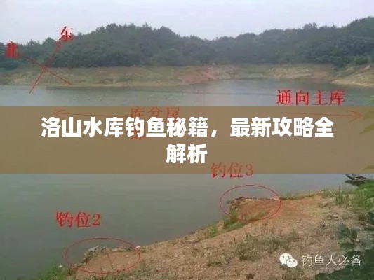 洛山水庫釣魚秘籍，最新攻略全解析